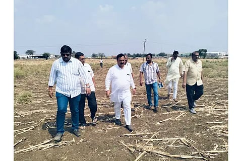 Tenginakayi Modi