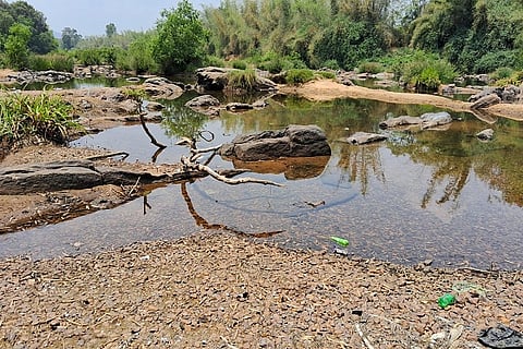 The Kaveri of life drained away at home