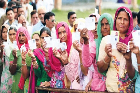 Voting