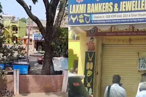WhatsApp Image 2024-03-14 at 2.19.33 PM