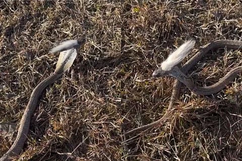 WhatsApp Image 2024-03-21 at 4.44.40 PM