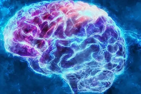 brain new
