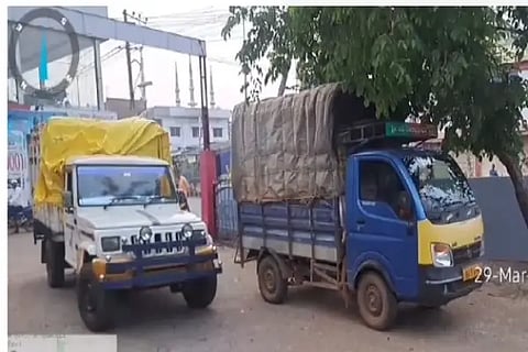 cattle seized