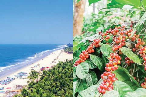 udupi