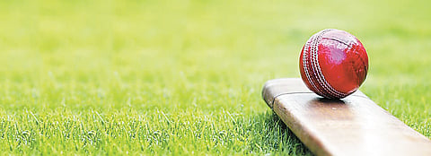 cricket 3