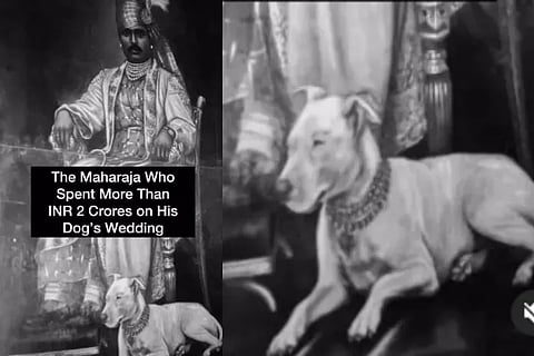 dog wedding
