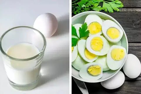 egg