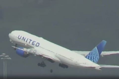 flight