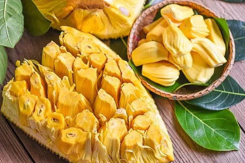 jackfruit