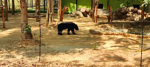 karadi
