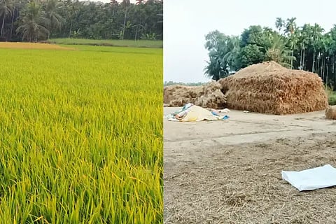 krushi