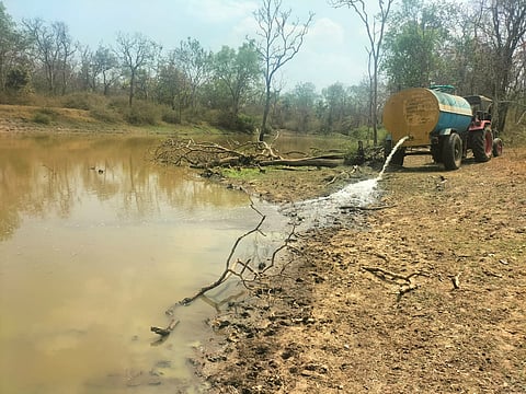 nagarahole3