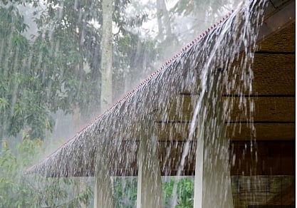 rain