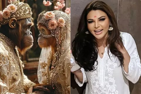 rakhisawant
