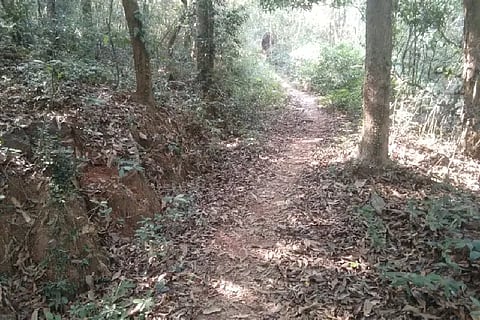 road