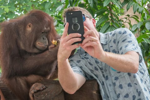 selfi