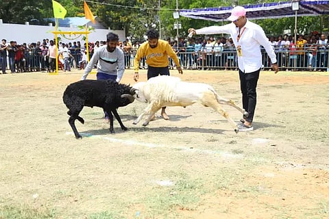 tagaru kalaga in shimogga