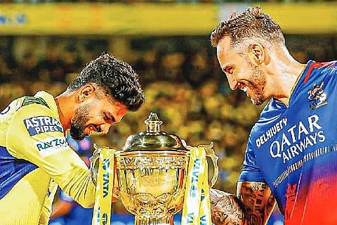 web rcb vs csk
