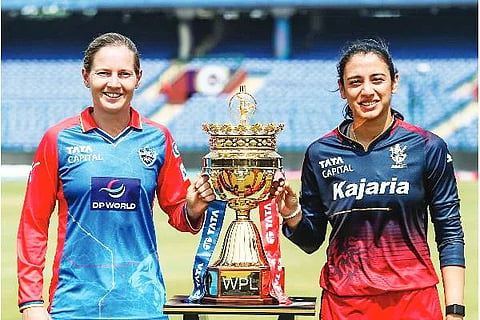 wpl rcb vs dc web