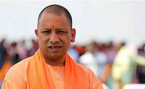 yogi