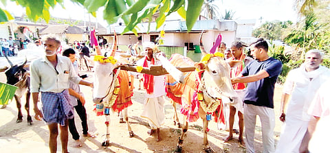 ತೊರೆನೂರಿನಲ್ಲಿ ಸಂಭ್ರಮದ ಹೊನ್ನಾರು ಉತ್ಸವ