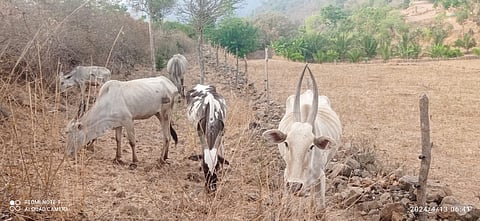 15rajesh1
