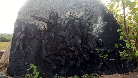 16 Arakera Photo 01 (1)
