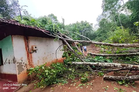 3 bhr rain damage