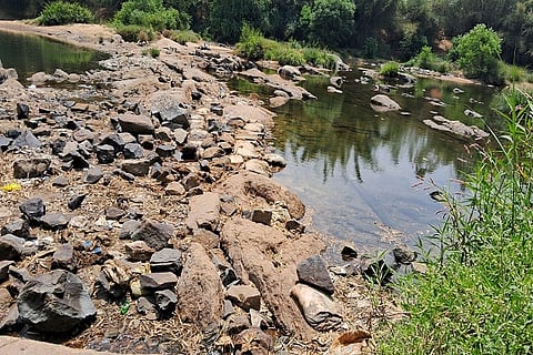 A growing problem with land conversion