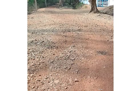 CHikkamavalli