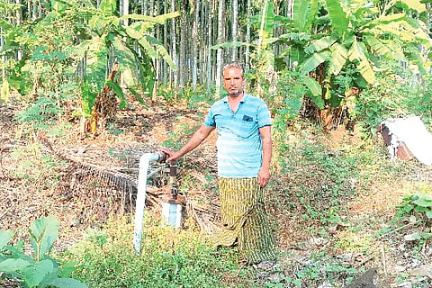 Channagiri, Ingu Gundi, Garden,