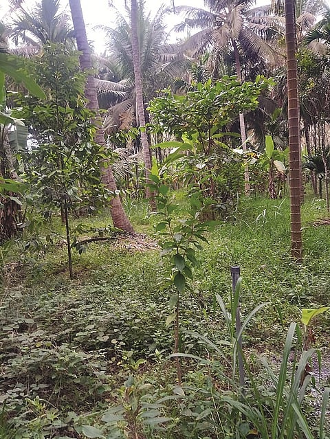 IMG-20240413-WA0266