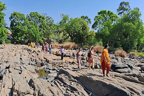 Kaveri is also suffering from drought