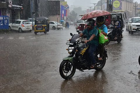 Rain