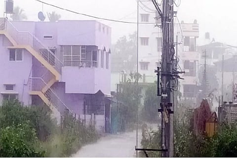 Rain