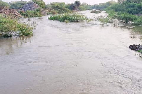 Water flow to Bhima