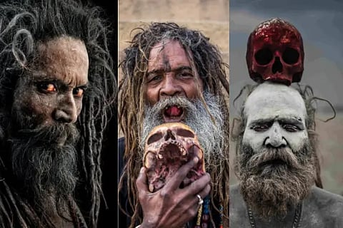 aghori food habits