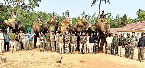ಕಾಡಾನೆ ಸೆರೆ ಕಾರ್ಯಾಚರಣೆ ಆರಂಭ
