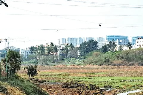 bbmp lake