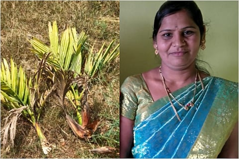 davanagere story