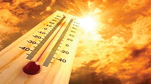 dvg temp