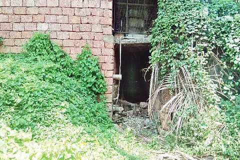 kaluve 1