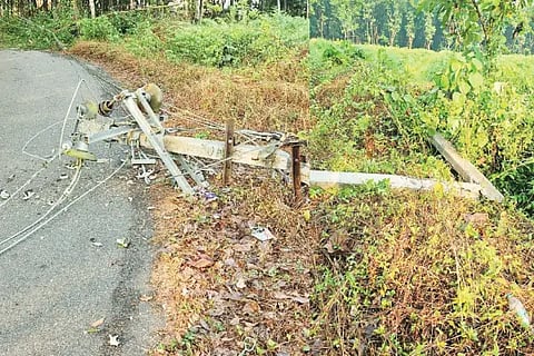 kamba (1)