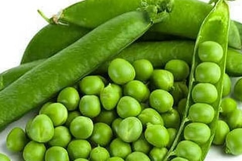 peas new