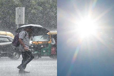 rain new