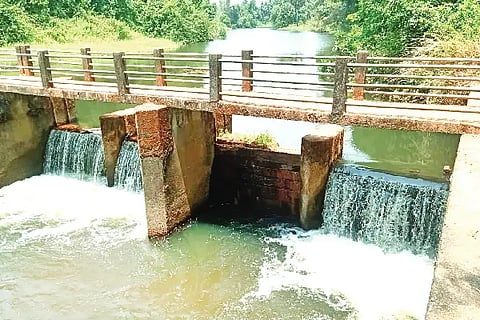 varahi