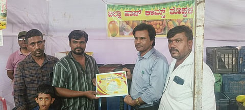 mango mela in koppal horticulture department 230 ton