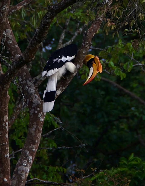23rajesh5