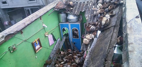24Rajesh1