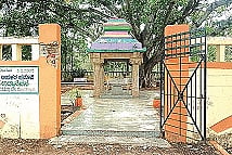 24myk1.jpg